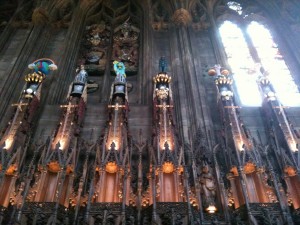 IMG 5813 (1)           